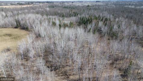 41254 155th Place Mcgregor MN 55760