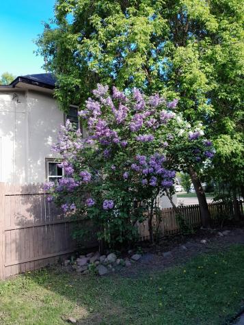 1415 Oak Street Brainerd MN 56401