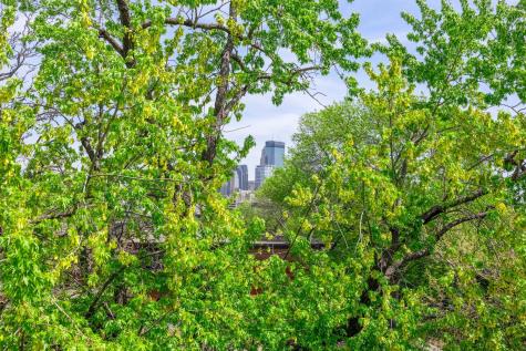 1014 Mount Curve Avenue Minneapolis MN 55403