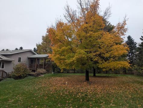 13785 30th Avenue Swanville MN 56382