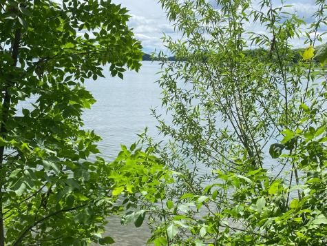 3462 Latoka Beach Road SW Alexandria MN 56308