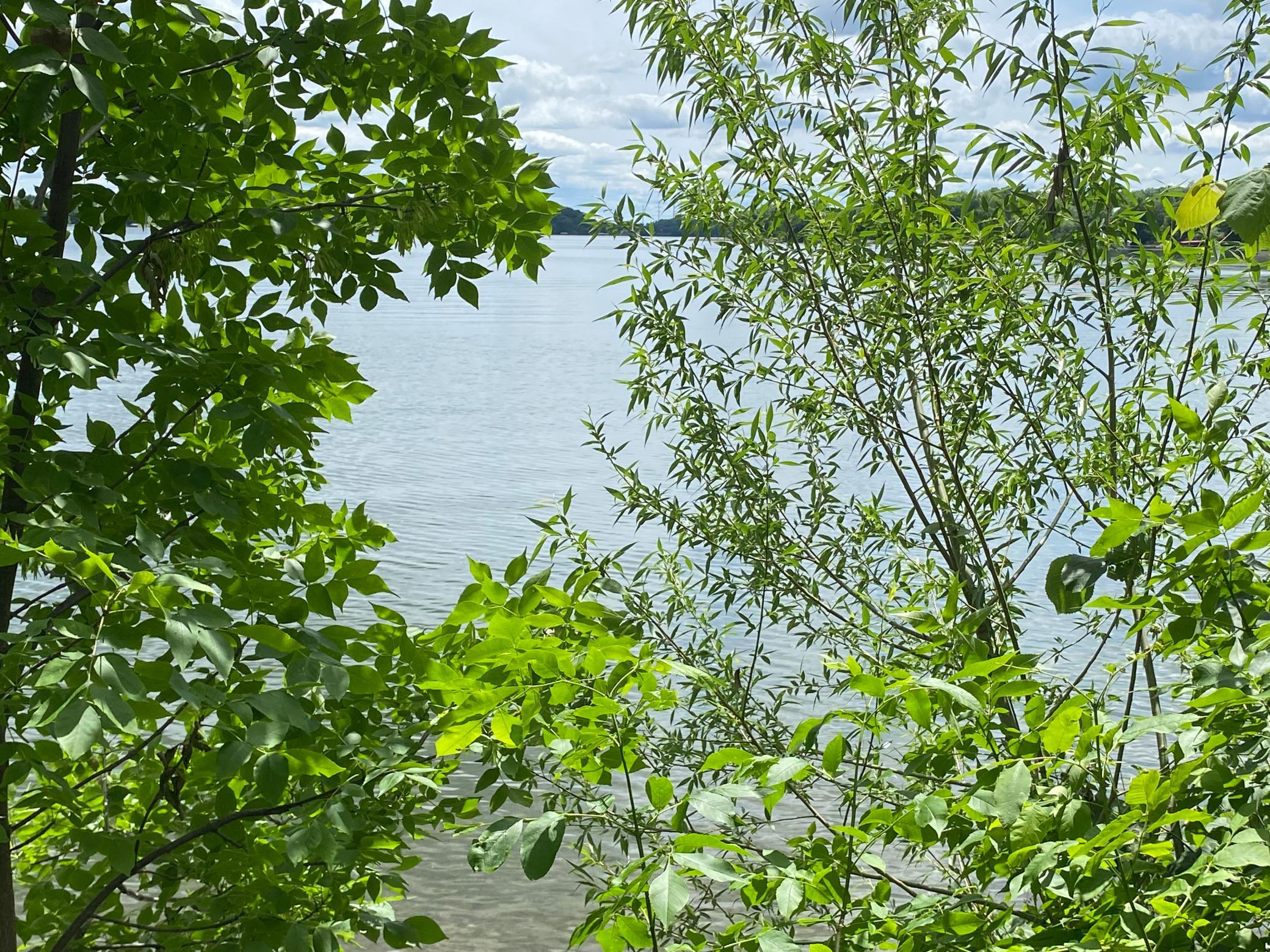3462 Latoka Beach Road SW Alexandria MN 56308