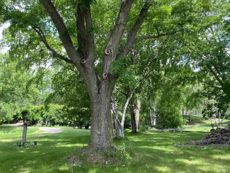 3462 Latoka Beach Road SW Alexandria MN 56308