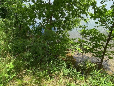3462 Latoka Beach Road SW Alexandria MN 56308