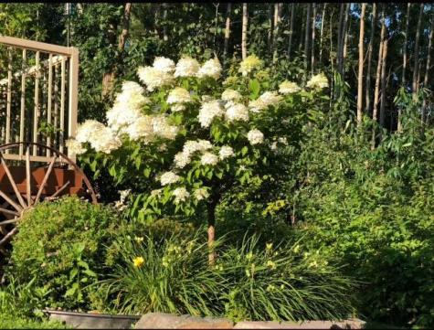 8376 Cedar Crest Loop NW Walker MN 56484