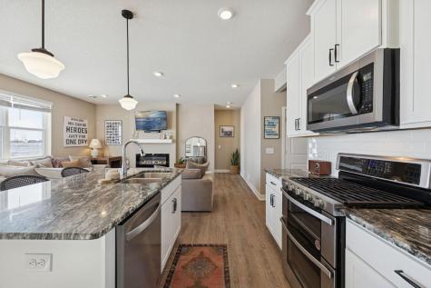 13650 Applewood Trail Rosemount MN 55068