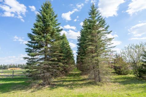 33896 County 21 Browerville MN 56438