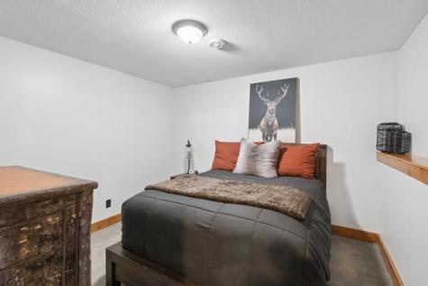26337 N Smith Lake Lane Garrison MN 56450