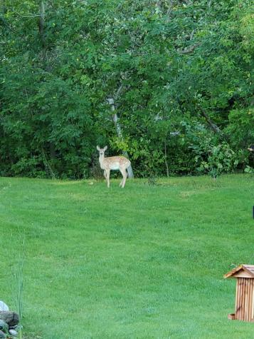 16966 Stakke Lake Road Lake Park MN 56554