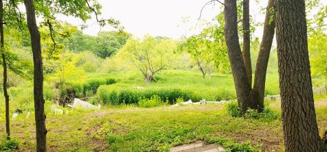 28629 Potomac Street NE North Branch MN 55056