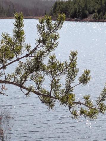 103 Onagon Lake Road Grand Marais MN 55604