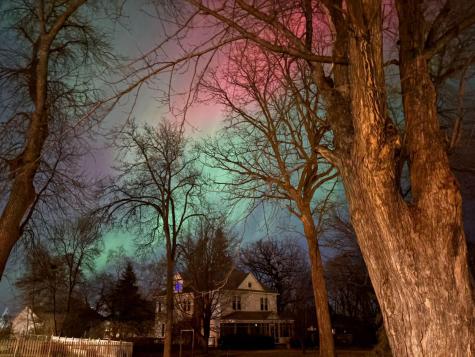 1115 Summit Avenue Detroit Lakes MN 56501