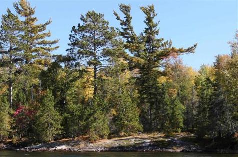 8481 Wakemup Narrows Cook MN 55771