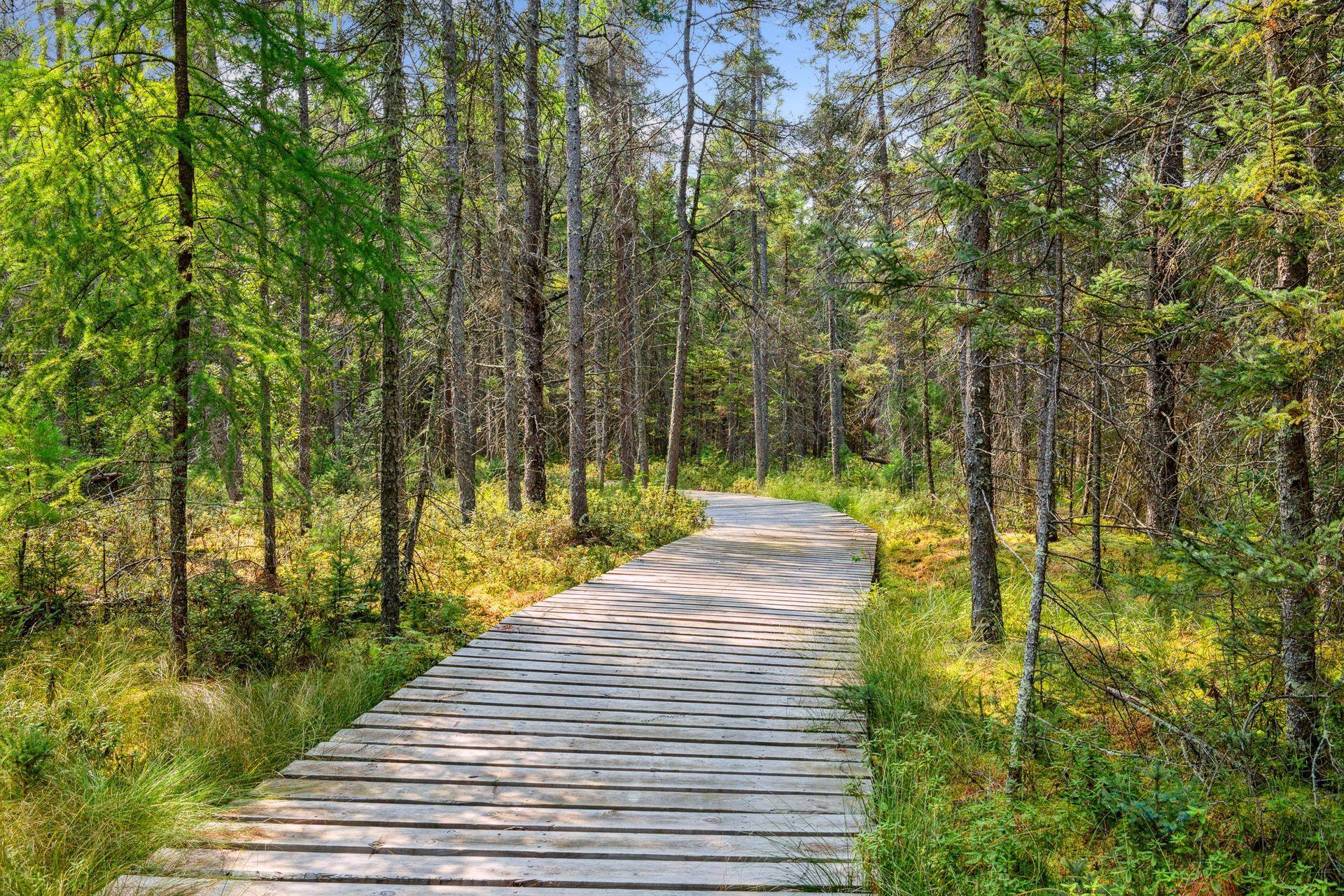 28549 305th Place Aitkin MN 56431