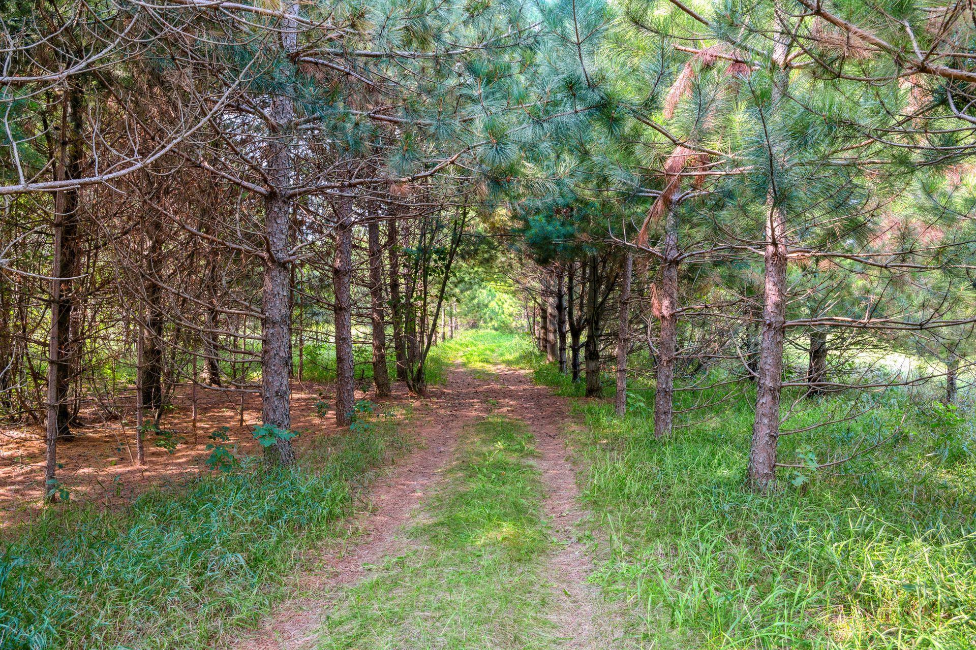 28549 305th Place Aitkin MN 56431