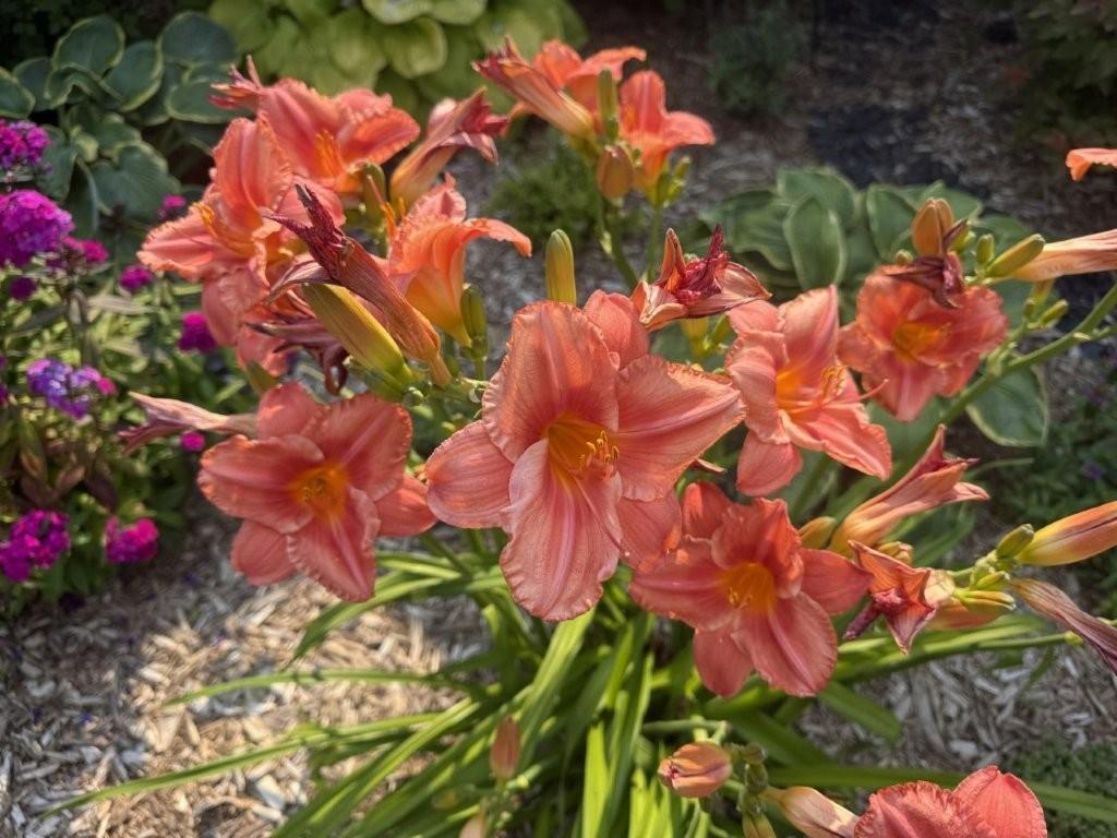 915 Lake Boulevard NE Bemidji MN 56601