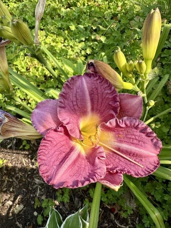 915 Lake Boulevard NE Bemidji MN 56601