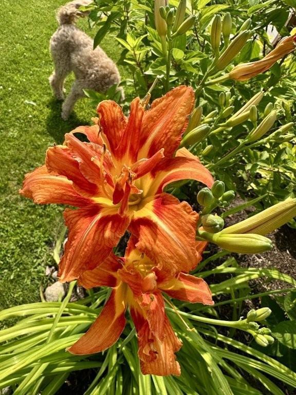 915 Lake Boulevard NE Bemidji MN 56601