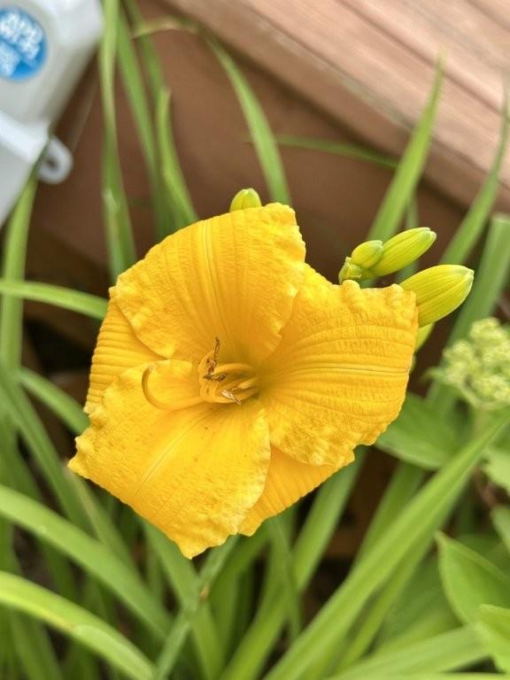 915 Lake Boulevard NE Bemidji MN 56601