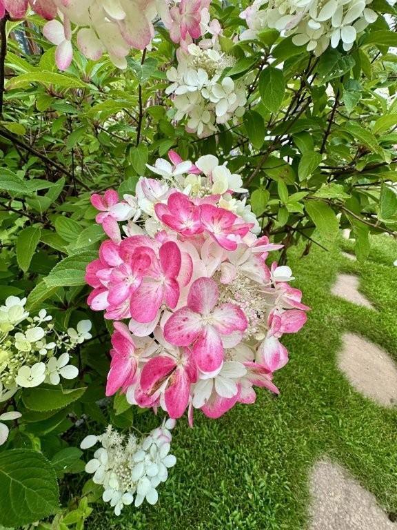 915 Lake Boulevard NE Bemidji MN 56601