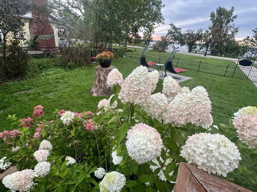 915 Lake Boulevard NE Bemidji MN 56601