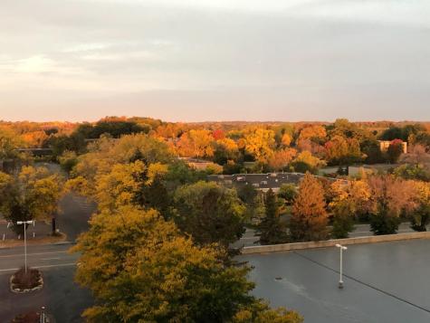5601 Smetana Drive Minnetonka MN 55343