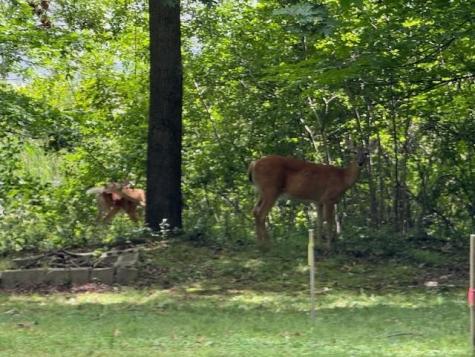 51XX Waterbury Road Mound MN 55364