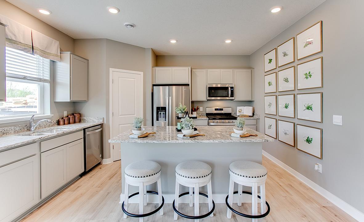 12682 Fraizer Street NE Blaine MN 55449