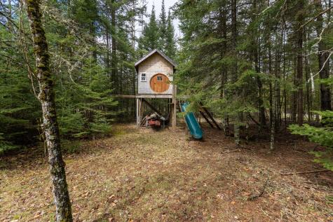55893 Dove Lane Northome MN 56661