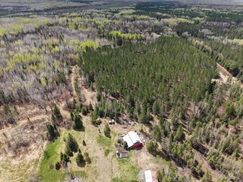 55893 Dove Lane Northome MN 56661