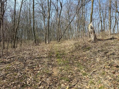 14230 Hillside Road Brownsville MN 55919