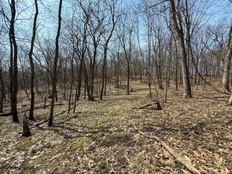 14230 Hillside Road Brownsville MN 55919
