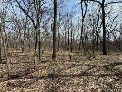 14230 Hillside Road Brownsville MN 55919