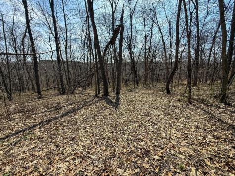 14230 Hillside Road Brownsville MN 55919