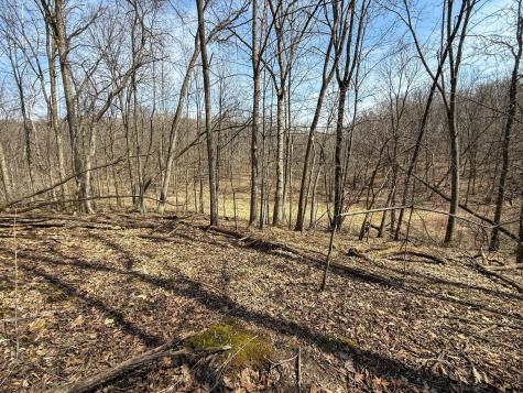14230 Hillside Road Brownsville MN 55919