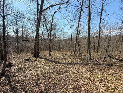 14230 Hillside Road Brownsville MN 55919