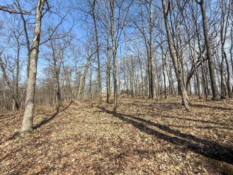 14230 Hillside Road Brownsville MN 55919