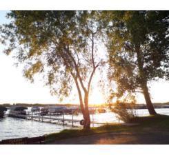 2945 County Road 4 SW Cokato MN 55321