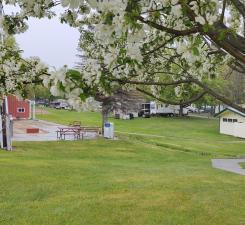 2945 County Road 4 SW Cokato MN 55321