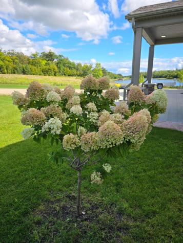 39949 Sunset Shores Road SE Erskine MN 56535