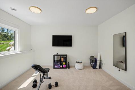 11784 Azure Lane Inver Grove Heights MN 55077