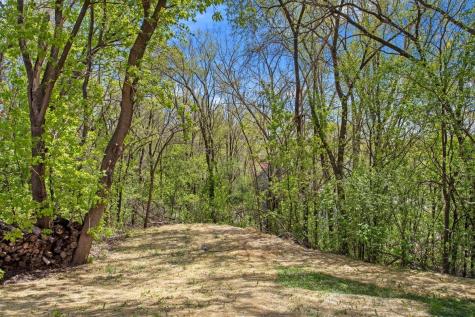 356 Arlington Avenue W Saint Paul MN 55117