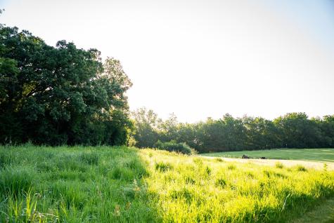 32592 Juniper Road Chatfield MN 55923