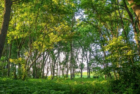 32592 Juniper Road Chatfield MN 55923