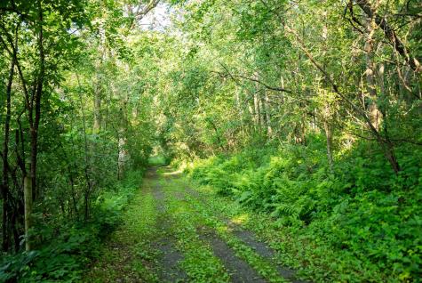 32592 Juniper Road Chatfield MN 55923