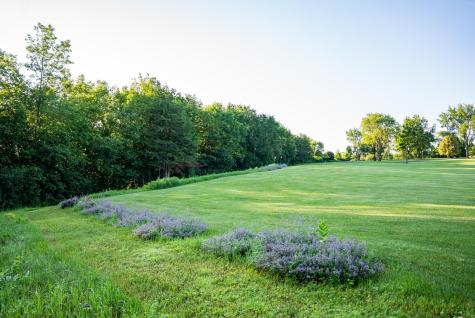 32592 Juniper Road Chatfield MN 55923