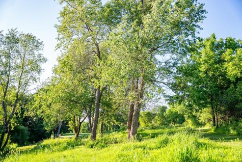 32592 Juniper Road Chatfield MN 55923