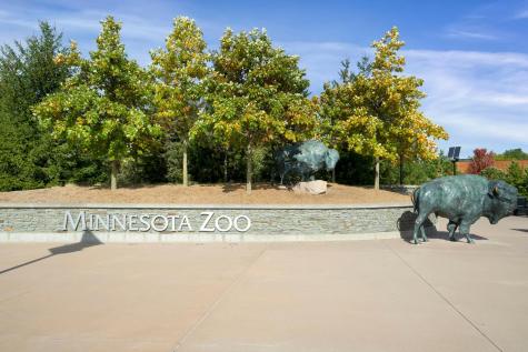 14830 Artaine Trail Rosemount MN 55068