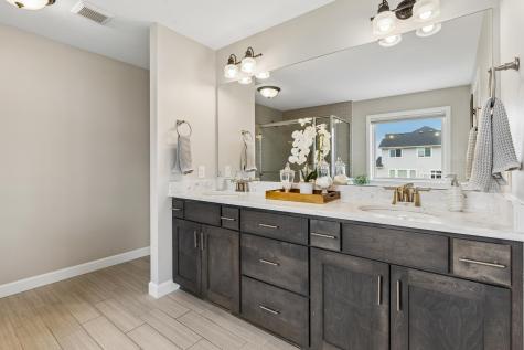 5288 Porchlight View Woodbury MN 55129