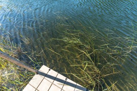 24519 E Rivers Bend Road Fergus Falls MN 56537